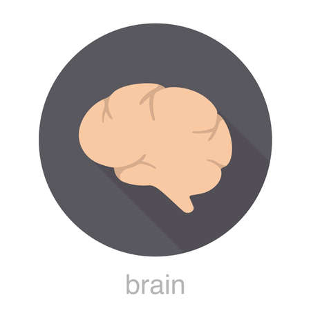 Human organ brain flat design icon, vector illustrationのイラスト素材