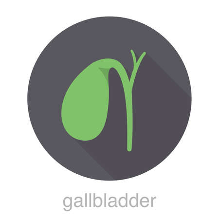 human organ gallbladder flat design icon, vector illustrationのイラスト素材