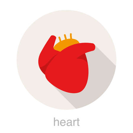 human heart flat design icon, vector illustrationのイラスト素材