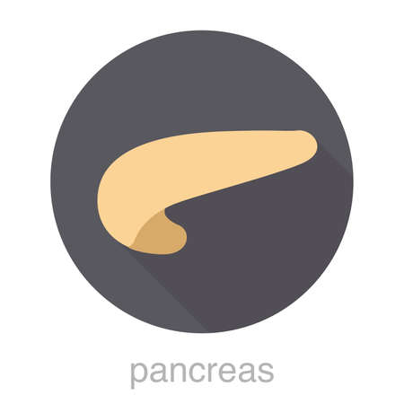 human organ pancreas flat design icon, vector illustrationのイラスト素材