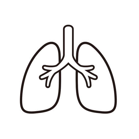 Human organ lungs flat icon, vector illustrationのイラスト素材