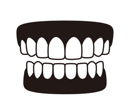 Human teeth model icon, vector illustrationのイラスト素材