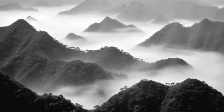 Foggy landscape with mountains. black and white.の素材