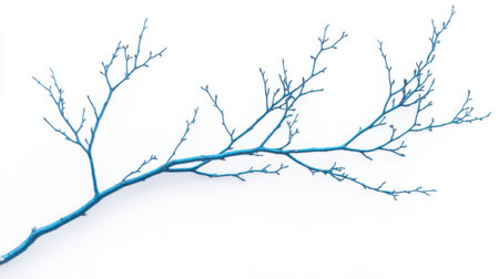 A delicate, isolated blue tree branch with fine details of its twigs and leaves, set against a clean white background, showcasing nature beauty in simplicityの素材