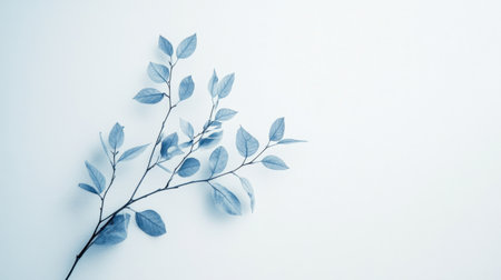 A single blue-hued tree branch isolated on a light background, highlighting intricate patterns of leaves and twigs in a minimalist styleの素材