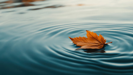 A lone leaf resting on the smooth surface of the ocean, with the gentle ripple of water creating a serene and tranquil nature sceneの素材