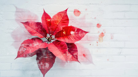 A stunning arrangement of vibrant red leaves set against a textured white wall, creating an artistic and fresh aesthetic. Ideal for nature-themed designs.の素材