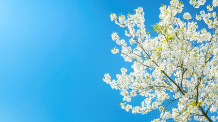 A spring tree full of blossoms under a clear blue sky, creating a fresh and inviting background with room for copy or additional elementsの素材