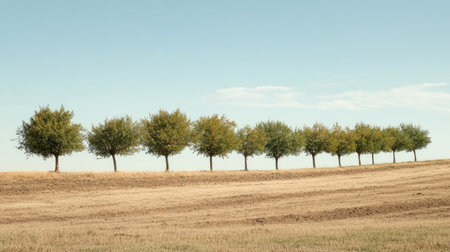A row of trees planted in a dry dirt field, representing the promise of future growth in a rural landscape.の素材