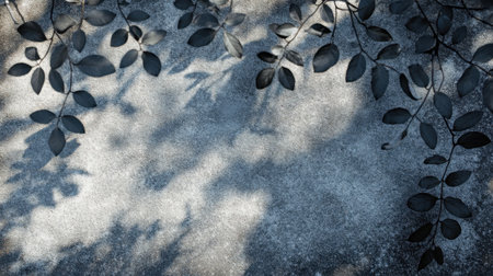 Soft light and tree leaf shadows creating abstract patterns on grey concrete, minimalist outdoor backdrop for product presentations.の素材