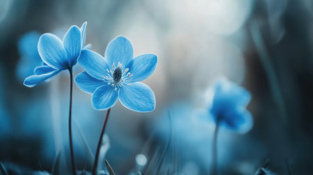 Delicate blue spring flowers in sharp focus, with a beautifully soft, blurry background adding depth and serenity.の素材