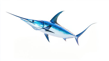 An action-packed image of a blue marlin swordfish soaring through the air, set against a white background, perfect for ocean-themed projectsの素材