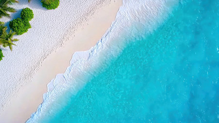 An aerial image capturing the stunning meeting of turquoise waters and sandy shores lined with greenery, perfect for a tropical getaway or travel inspiration.の素材