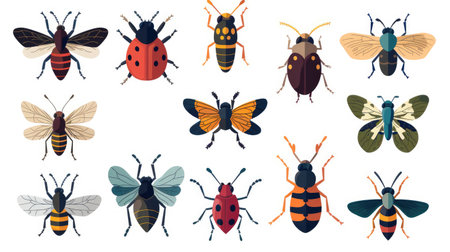 Nine cartoon insect icons symmetrically arranged on white backgroundの素材