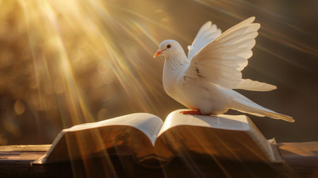 Serene white dove above an open Bible, golden light streaming in the backgroundの素材