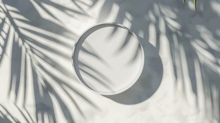 3D render top view of a white blank cylinder frame for product display, set against a summer background with shadows of palm leavesの素材