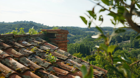 Close-up of terracotta roof tiles with damage and plant growth, set against a clear sky and green treesの素材