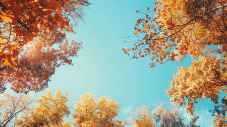 Scenic beauty of autumn trees against a backdrop of clear blue skiesの素材