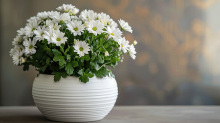 Beautiful white flowers in a stylish white pot, perfect for a clean and sophisticated look.の素材
