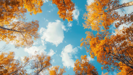Scenic beauty of autumn trees against a backdrop of clear blue skiesの素材
