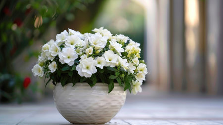 Fresh white flowers beautifully displayed in a white pot, exuding elegance and simplicity.の素材