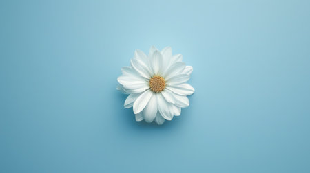 Minimalist composition featuring one white flower, symbolizing purity, grace, and the beauty of simplicity.の素材