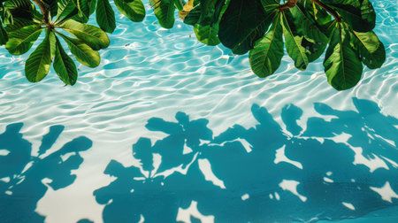 Tropical leaves' silhouettes reflected on the water surface, with shadows on the white sandy beach, forming a stunning summer vacation bannerの素材