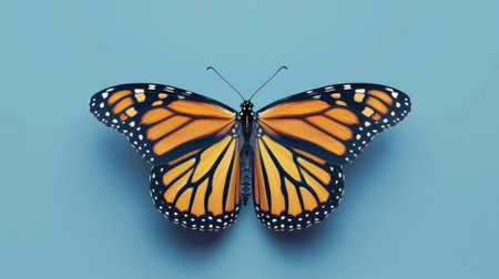A gorgeous digital illustration of a butterfly, its wings spread wide, elegantly isolated on a calm blue background.の素材