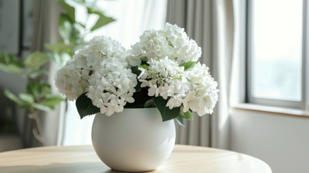 White flowers in a sleek white pot, creating a harmonious and refined composition.の素材