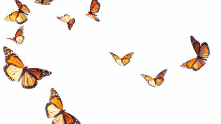 Butterflies in motion, mid-flight and mid-landing, set against a plain white background, emphasizing their eleganceの素材