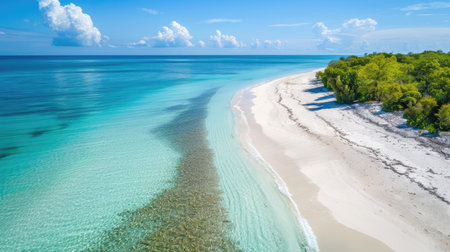 Tropical island's white sand beach stretching far, with calm turquoise waters and vibrant greenery along the shoreline.の素材