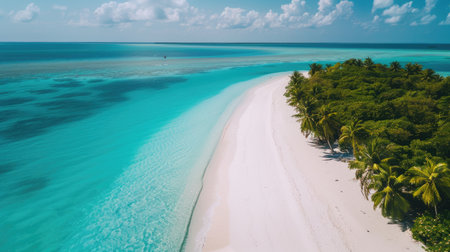 Pristine white sands of a tropical island extending into the horizon, bordered by lush palm trees and crystal-clear sea.の素材