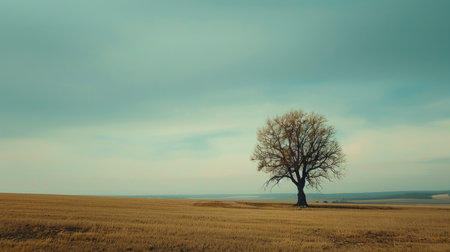 Lone tree standing against the horizon in an empty field, embodying resilience and steadfastness in the face of solitude.の素材