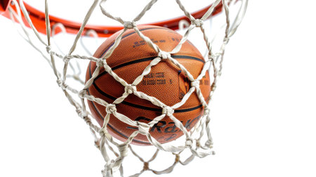 Close-up of a basketball passing through the hoop with the net snapping back, isolated on a white background.の素材