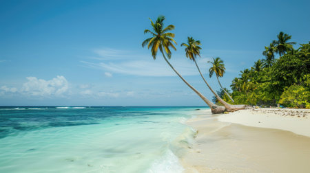 White sand beach of a tropical island reaching into the distance, with azure ocean and clear sky creating a serene sceneの素材