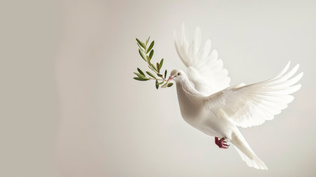 Peaceful white dove in flight, clutching a green olive branch against a pristine white background, conveying hope and tranquilityの素材