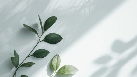 A minimalist white background with a subtle gradient effect, creating a soft and pleasing visual impactの素材