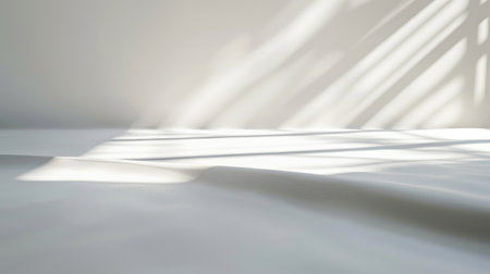 A plain white background with a soft shadow effect around the edges, giving the image a subtle sense of depthの素材