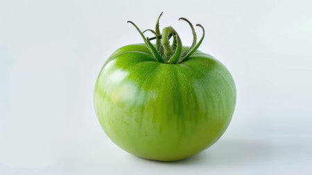 A single green tomato with its unique color highlighted against a white backgroundの素材