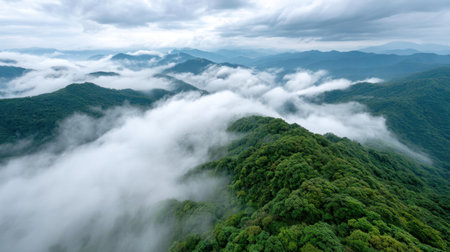 Experience a breathtaking mountain landscape with rolling clouds enveloping lush greenery and majestic peaks, creating a serene and tranquil natural environment.の素材