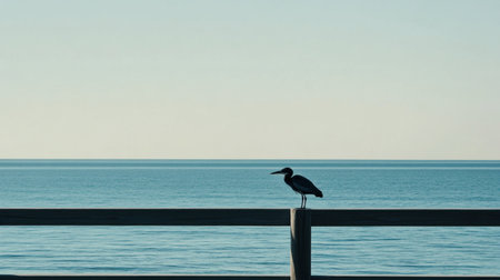 Juvenile blue heron perched on a wooden pier railing at Fish Haul Beach, with the bright ocean and sky in the background, offering space for text or designの素材