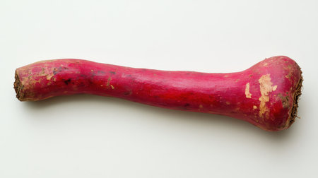 A single Indian madder root with vivid red hues, positioned on a clean white backdrop with a focus on detail and clarity.の素材