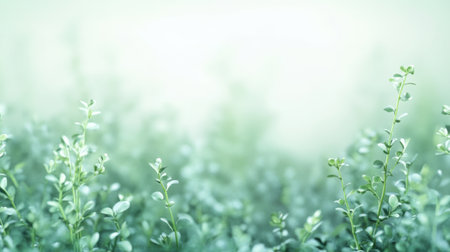 Captivating soft green foliage creates a serene atmosphere, enhanced by gentle bokeh and ambient light. Ideal for nature-themed projects or backgrounds.の素材
