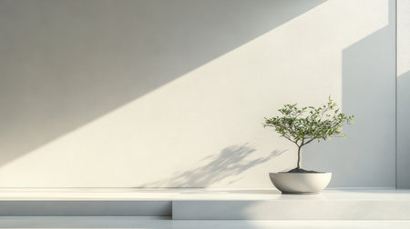 A serene minimalist interior featuring a single potted plant, natural light casting soft shadows, and smooth grey walls, perfect for modern design enthusiasts.の素材
