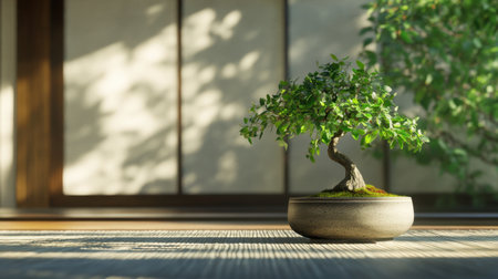 A stunning bonsai tree placed in a modern Japanese interior, featuring natural light and shadows that enhance its serene beauty and evoke a sense of tranquility.の素材