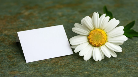 A beautiful white daisy flower beside a blank card on a natural textured background. Ideal for invitations, announcements, or personalized messages to convey warmth and elegance.の素材