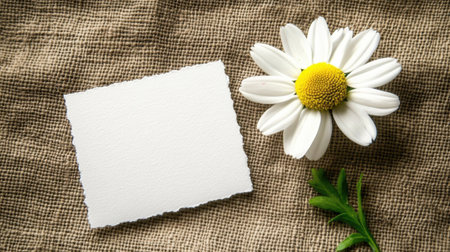 A charming composition featuring a fresh daisy bloom beside a blank piece of paper set on rustic cloth, perfect for creative projects and nature-inspired designs.の素材