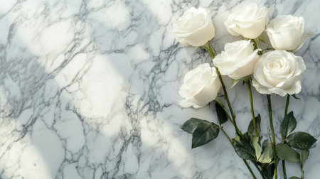 A beautiful arrangement of white roses resting on a sleek marble surface, enhanced by the soft reflection of natural light, creating an elegant and serene atmosphere.の素材