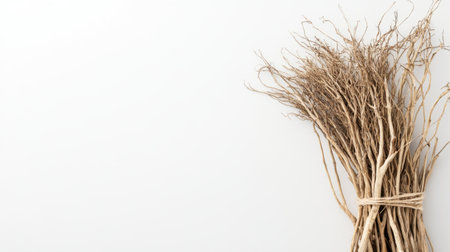 Close-up of dried vetiver roots neatly arranged on a white background, showcasing their intricate natural textures and earthy tonesの素材