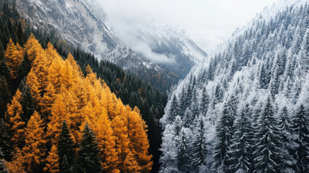 A breathtaking view of a mountain landscape featuring a vibrant contrast of golden autumn trees and snow-covered evergreens, showcasing nature's seasonal transition.の素材